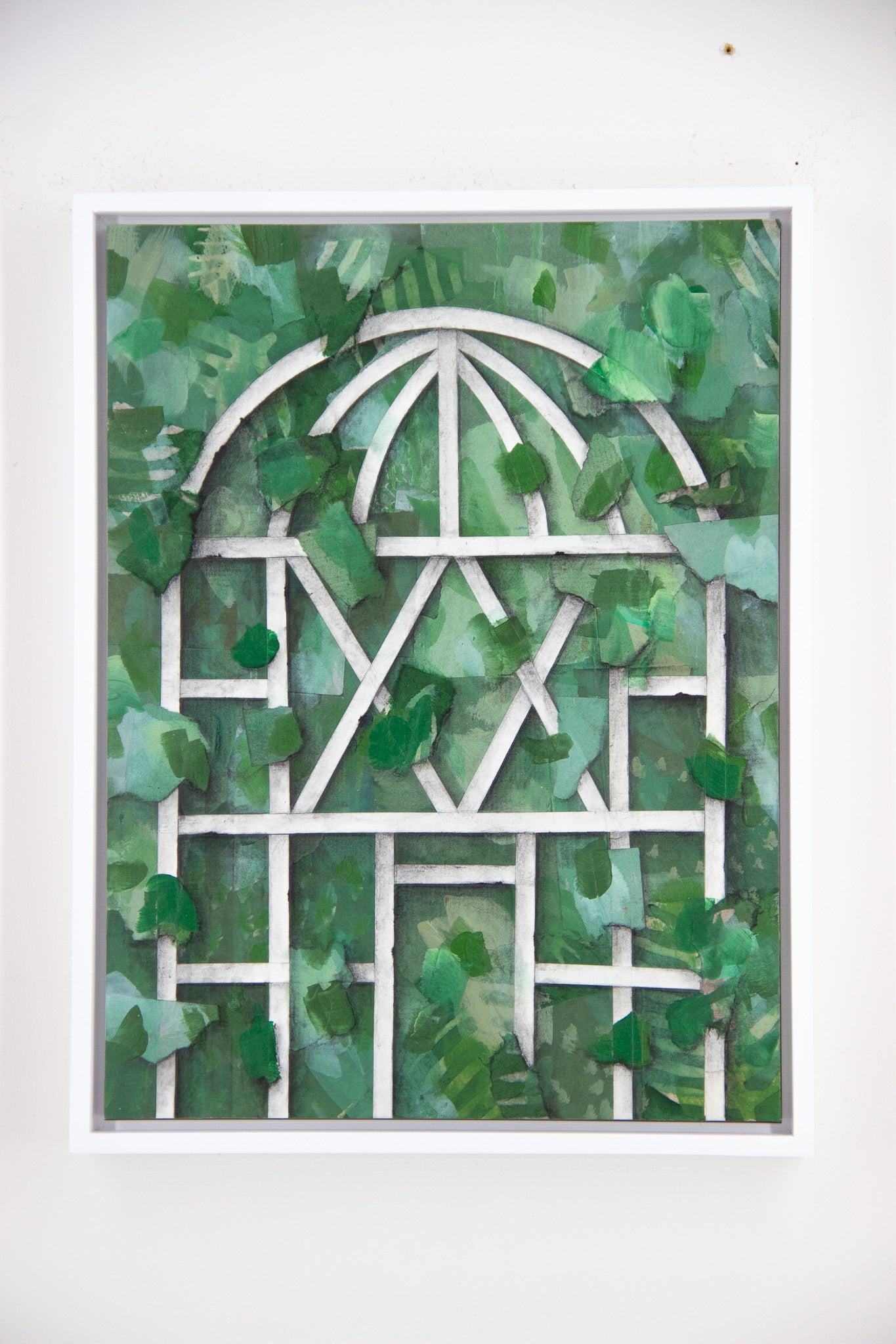 Greenhouse Study 4